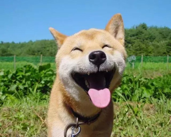 三步减压法，让职场压力gogogo
