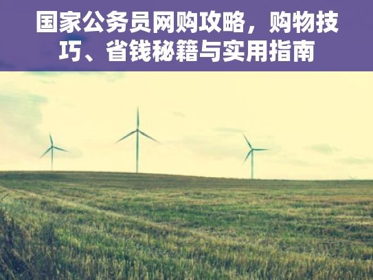 国家公务员网购攻略，购物技巧、省钱秘籍与实用指南