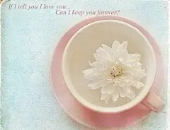 简约美好时光——下午茶