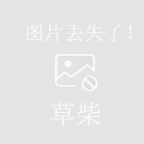 韩国铲皮机家用去黑头清洁器美容仪
