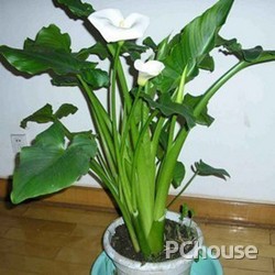 了解风水伦理
