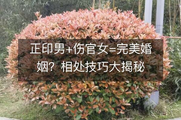 正印男+伤官女=完美婚姻？相处技巧大揭秘