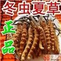 成都市回收冬虫夏草 价格107元至219元数量玖仟克