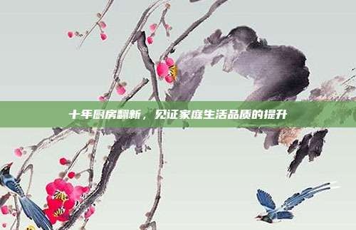 十年厨房翻新,见证家庭生活品质的提升