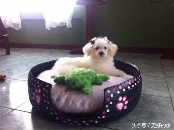 老司机教你旧物利用，废旧轮胎也可以改造成时尚沙发、茶几、秋千