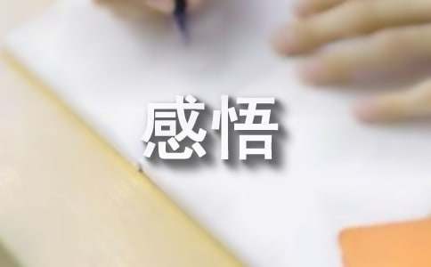 人生经历感悟（精选24篇）
