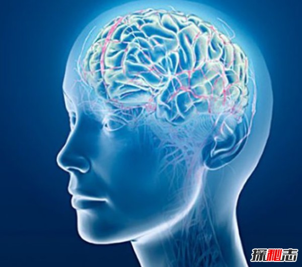 dbd30035991c4fb29f094515423fda1d.png