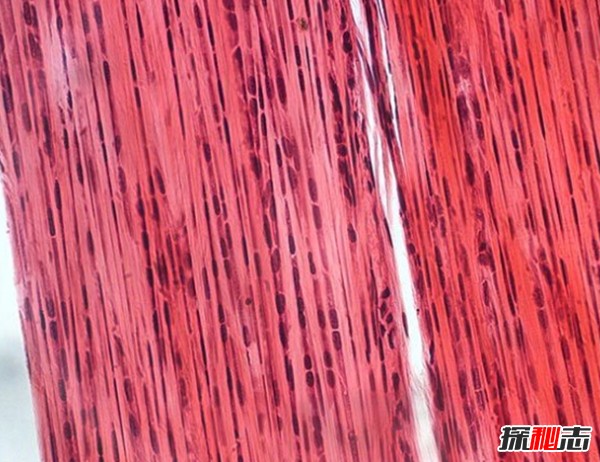 132146201d21a955978b5158e3d88aaa.png