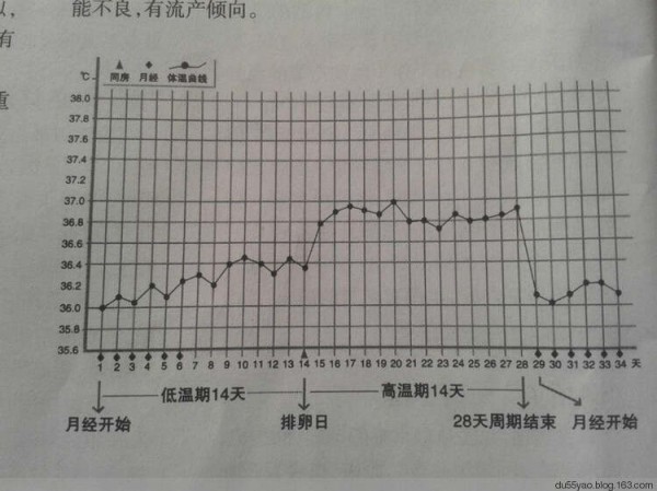 你的压力大吗？★测测你的睡眠质量★“去火”选药有讲究 - 地狱壳子 - 壳子的博客