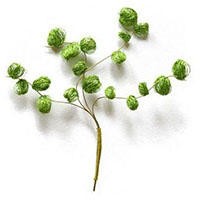 毛线做的创意装饰手工