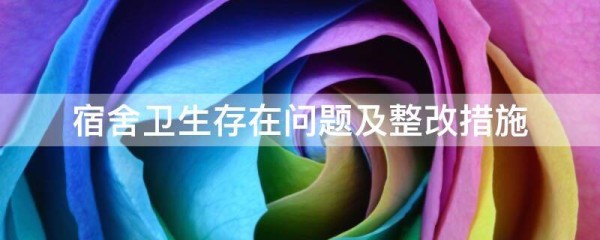宿舍卫生存在问题及整改措施