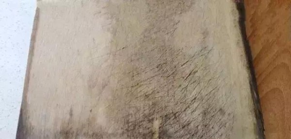 用稻壳做的菜板，抗菌、不发霉，好清洗