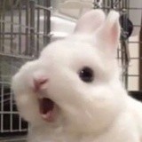 累积大小事