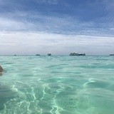 豆友185410690