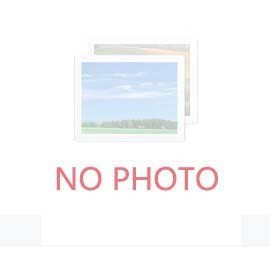 什么是碳中和