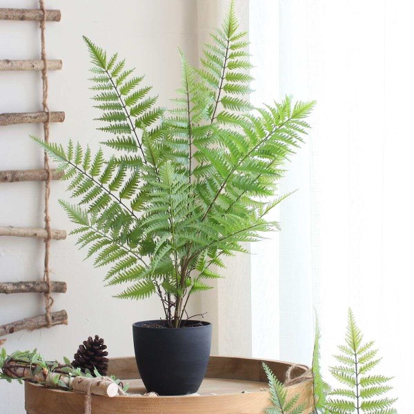 什么植物适合在阳台养殖 如何选购阳台植物注意哪些