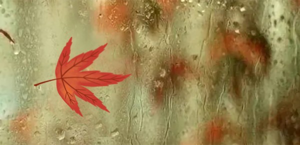 如何在职场上圆滑的生存