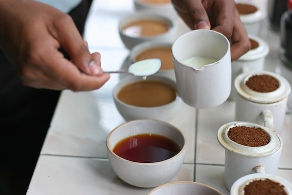 M红茶4
