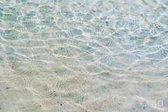 卫生间养鱼风水讲究，你需要知道的十大禁忌