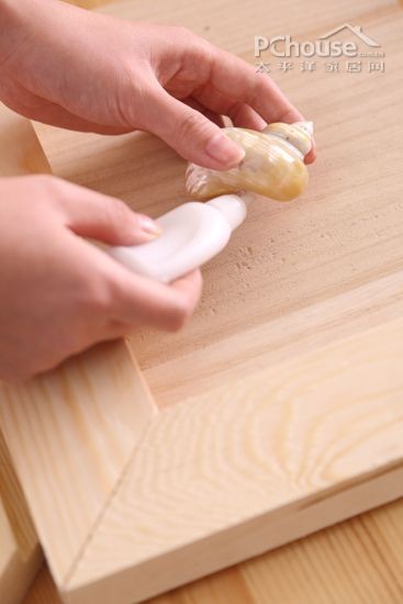 贝壳装饰