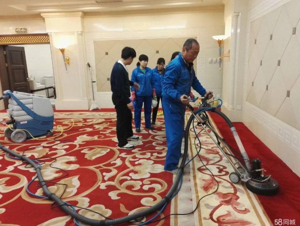 使用真空吸尘器定期清洁