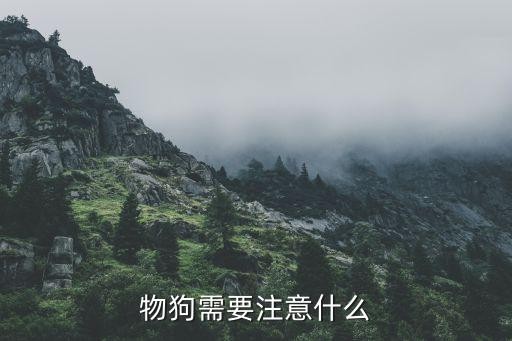 物狗需要注意什么