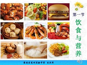 《第1节 饮食与营养》PPT课件(江苏省县级优课).ppt