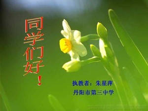 《第1节 饮食与营养》PPT课件(江苏省县级优课).ppt