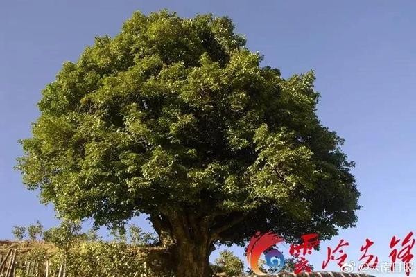 饰品氧化变黑了怎么办