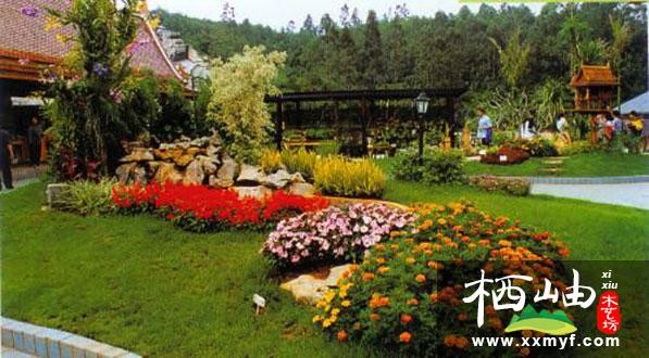 现代庭院