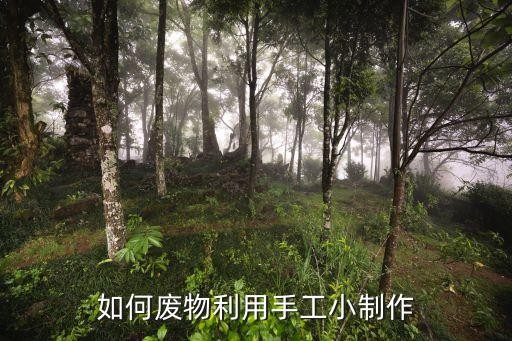 如何废物利用手工小制作