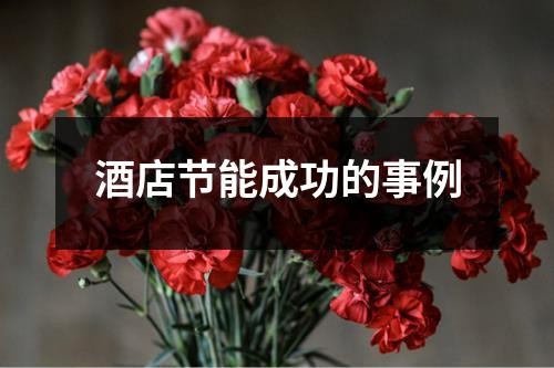酒店节能成功的事例
