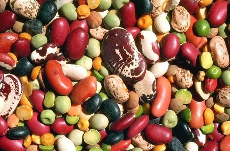 厨房里必备的15种健康食物 它们让你的菜肴更美味