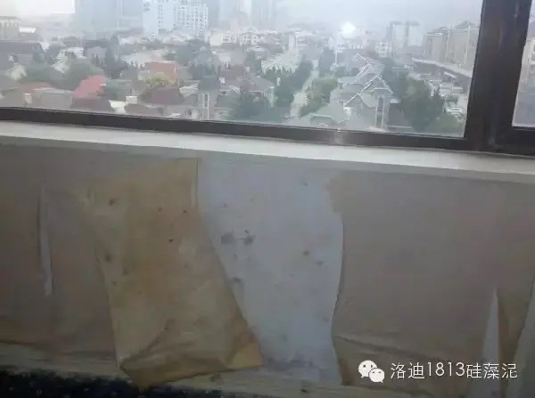 洛迪焕新家 硅藻泥墙面 家居装修