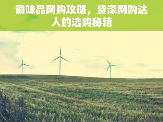 调味品网购攻略，资深网购达人的选购秘籍