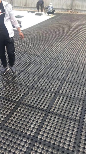 武汉h20聚丙烯沥水板：门市价