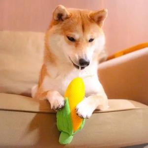 胭脂泪