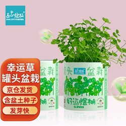 Bloom Life 匠心绽放 IAM City Farmer三叶幸运草罐头盆栽diy儿童种植罐头盆栽节日假日礼物好运罐头
