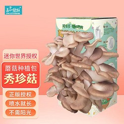 Bloom Life 匠心绽放 心绽放迷你世界秀珍菇 可食用蘑菇种植包趣味DIY儿童玩具毕业暑假礼物 秀珍菇