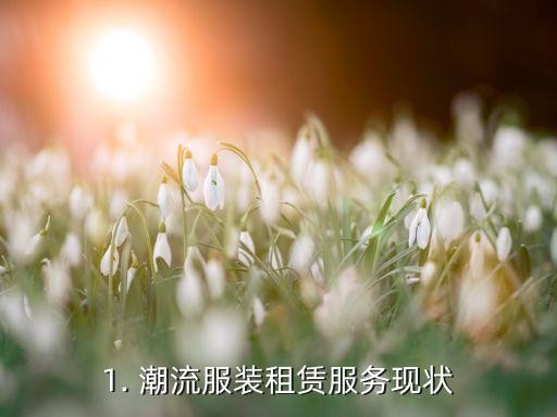 1. 潮流服装租赁服务现状