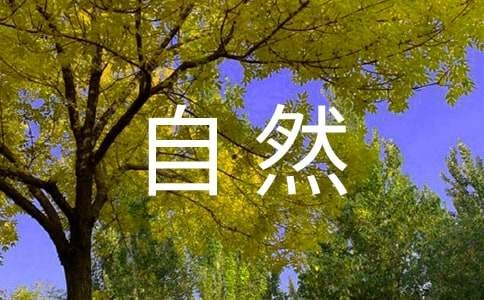 感受自然作文集锦15篇