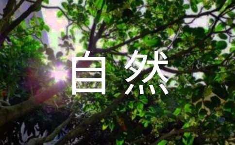 感悟自然作文精选15篇