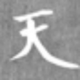 衣鱼
