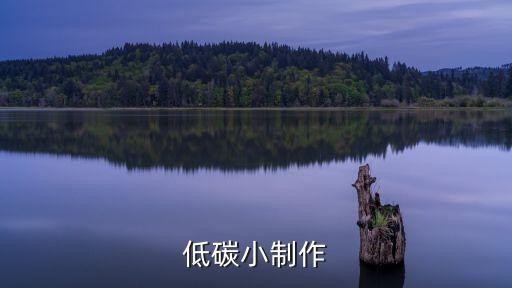 低碳小制作
