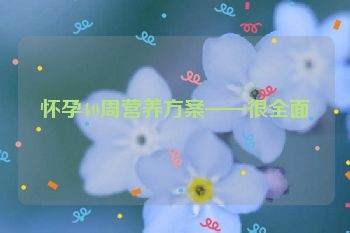怀孕40周营养方案——很全面