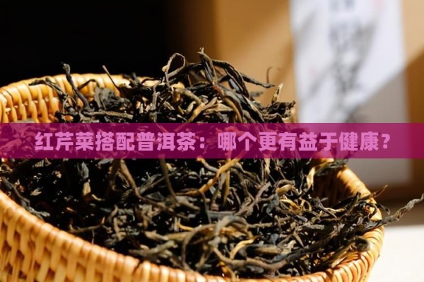 红芹菜搭配普洱茶：哪个更有益于健康？