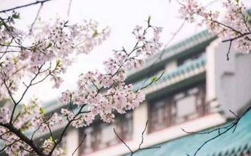家居设计与摆放风水知识 抢先知禁忌摆脱坏风水