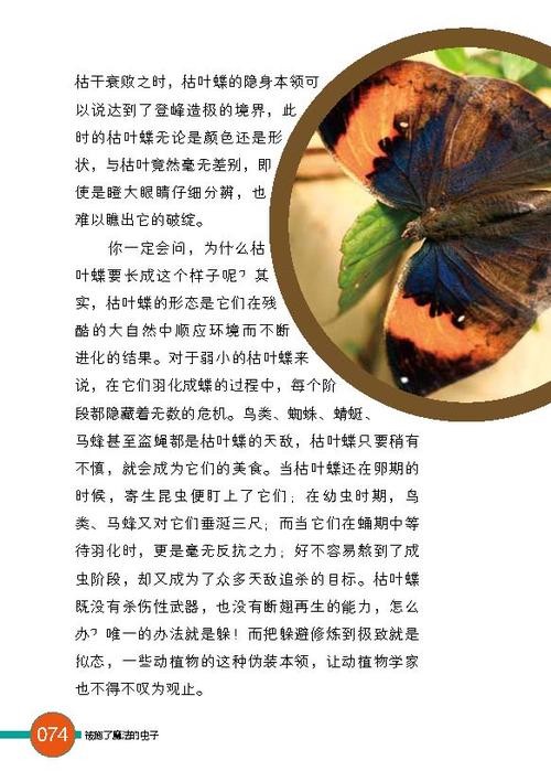 我学会了什么200