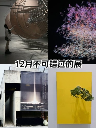12月不可错过的展