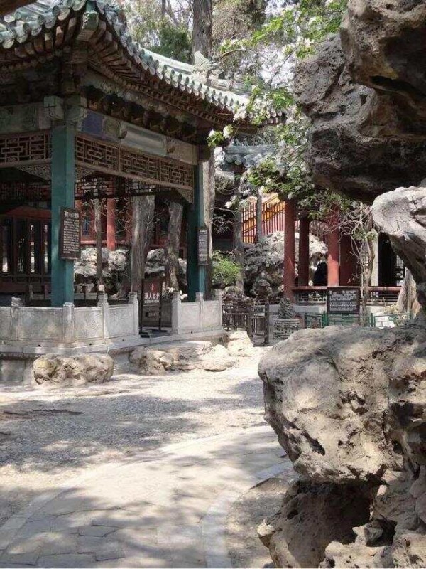 文章图片5